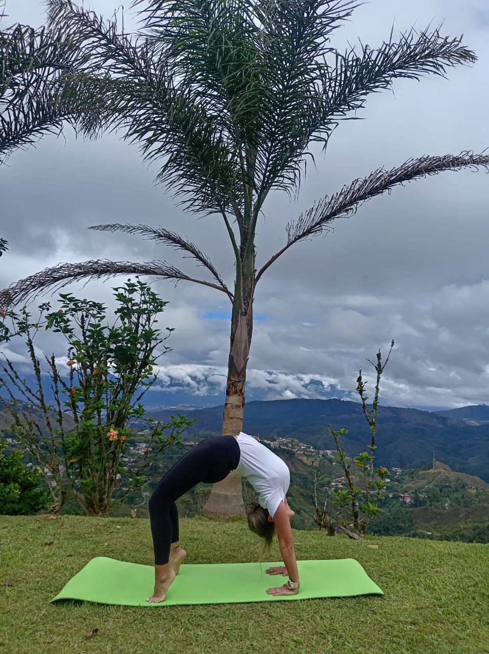 Lina María Colmenares Rivero